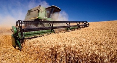 В США оценили украинский урожай