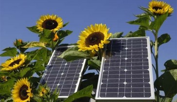 В Украине растёт потребление солнечной энергии