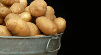 Украина - четвёртая в мире по объёмам потребления картофеля
