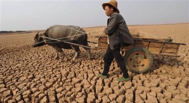 Китай скупает земли во всём мире, чтобы избежать голода
