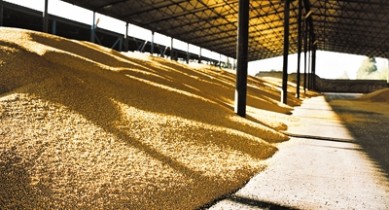 Правительство готовит еще одну госмонополию на рынке зерна