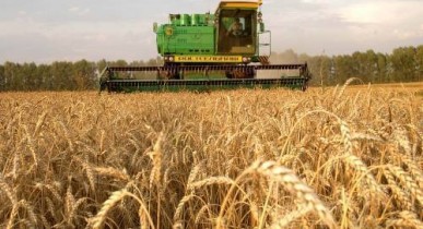Украина, Россия и Казахстан хотят создать зерновой пул — Азаров