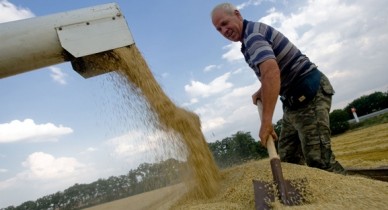 Кабинет министров считает производство 60 млн тонн зерновых в год ориентиром для Украины