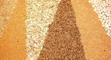 Украина экспортирует в 2011-2012 маркетинговом году 19-20 млн т зерновых