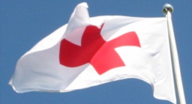 Евросоюз окажет Японии помощь через Красный крест