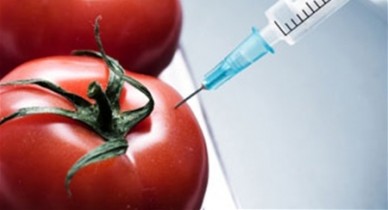 Только ГМО спасет мир от голода