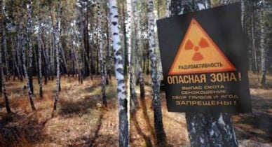ООН: Чернобыльская зона безопасна для проживания