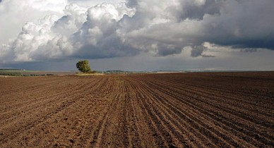 Аграрная реформа, реформы Украины, Янукович назвал главную цель инициируемой им аграрной реформы.