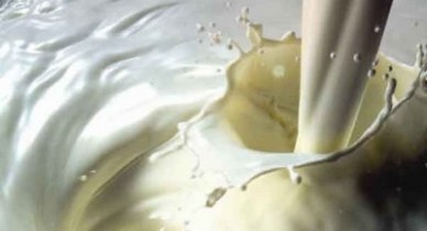 Молоко, ввоз молочных продуктов, ввоз молочных продуктов из Беларуси в Украину.