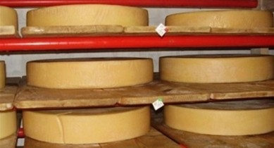Российская инспекция не обнаружила нарушений при производстве украинскоо сыра.