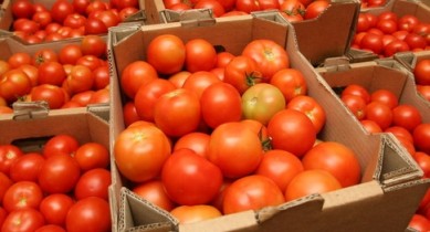 В Украине дефицит помидоров.