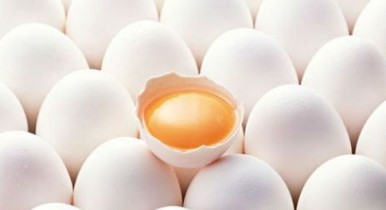 Цены на куриные яйца на украинских птицефабриках снизились, цены на яйца, цены на яйца в Украине.