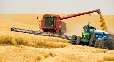 Аграрии жалуются на «катастрофический год» в Украине.