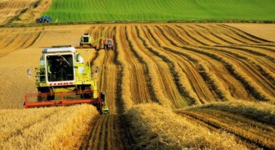 Подсчитаны доходы Украины от сельского хозяйства