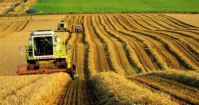 Китайские компании вложат в украинское сельское хозяйство 6 млрд долларов.
