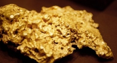 Золотоискатель-любитель нашел золотой самородок весом в 5,5 килограмм.