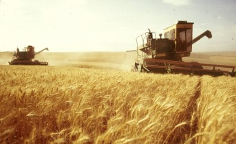 Аграрный комитет одобрил упрощение сертификации на рынке зерна