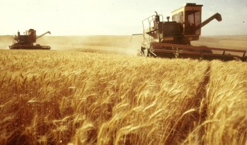 Украина увеличила экспорт зерна на 14%