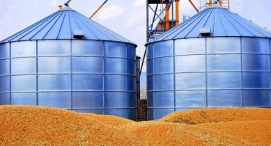 Отмена сертификации зерна оптимизирует затраты аграриев.