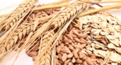 Украина хочет поставлять в США кукурузу и пшеницу.