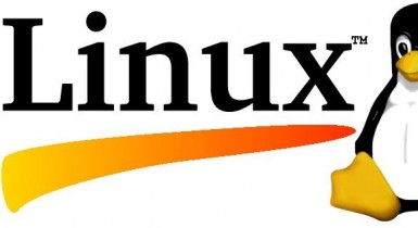 Возобновился наиболее курьезный суд над Linux.
