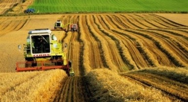 В Украине взялись за защиту инвестиций в аграрный сектор.