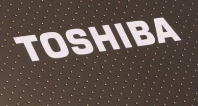 Toshiba вложит 300 млн в разработку чипов флеш-памяти.