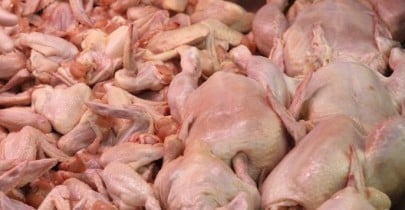 Украина может экспортировать в ЕС 50-70 млн тонн курятины.