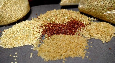 Украина получила право поставлять пшеницу, сою и ячмень в Китай.