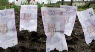 В Украине за 7 месяцев продано земли на 147,5 млн гривен.