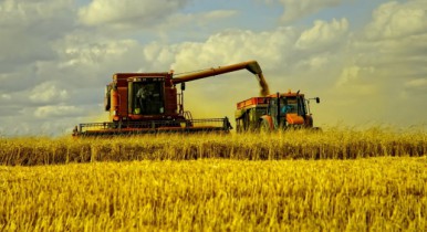 Аграрии поставили Аграрному фонду 745 тыс. тонн зерна по форвардным контрактам.