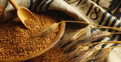Украина планирует нарастить поставки зерновых в Китай до 6 млн тонн в год.