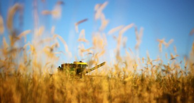 Украина заинтересована в привлечении нидерландских инвесторов в аграрный сектор.