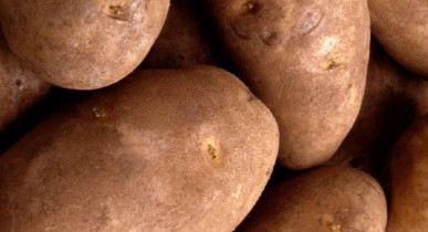 Украину ожидает дефицит картофеля.