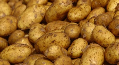 Цены на картофель стабилизируются уже через две-три недели.