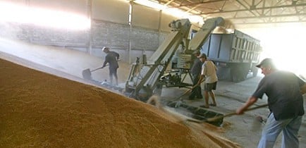 Процесс создания Причерноморского зернового пула начнется в октябре.