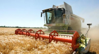 Украина в четыре раза увеличила экспорт сельскохозяйственной продукции в Китай.