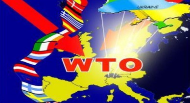 Фирташ и Емельянова вошли в состав комиссии по вопросам сотрудничества с ВТО.