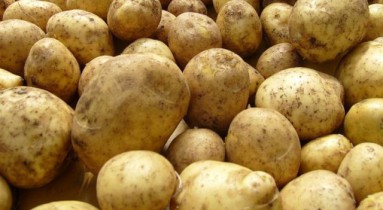 Минагрополитики прогнозирует в 2013 г. урожай картофеля на 5% меньше, чем в прошлом году.