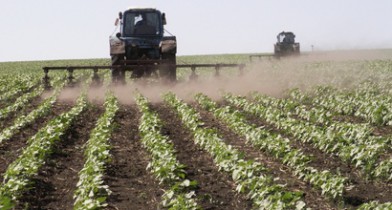 Сельхозпроизводство в Украине выросло на 3%.