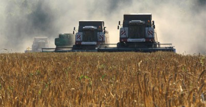 Украина собрала более 45 миллионов тонн зерна с 80% площадей.