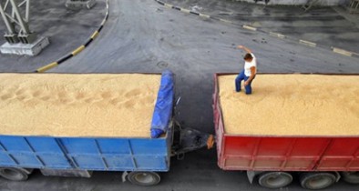 «Укрзализныця» с начала года перевезла 14 млн тонн зерновых.