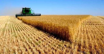 Земельный банк намерен выдавать кредиты аграриям под 8-12%.