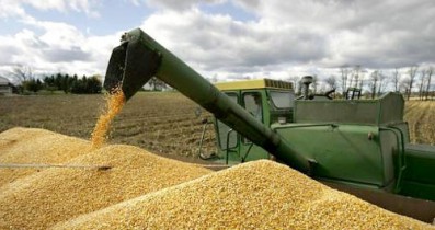 Украина экспортировала около 9,7 млн т зерна.