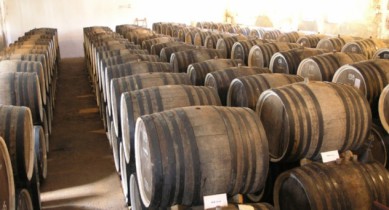 Италия обогнала Францию по объемам производства вина.