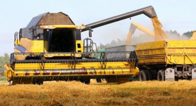 «Укрзализныця» в октябре увеличила перевозки зерновых на 58%.