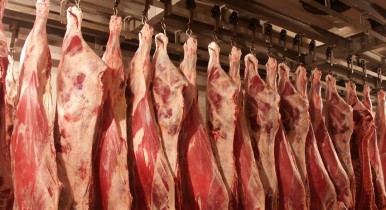 Производство мяса в Украине за 10 мес. 2013 г. увеличилось на 8,6%.