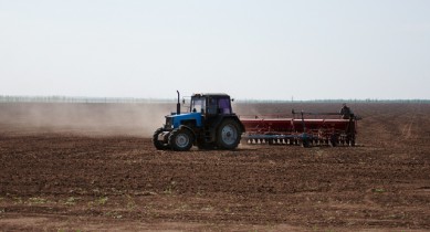 Украина завершила сев озимых зерновых.