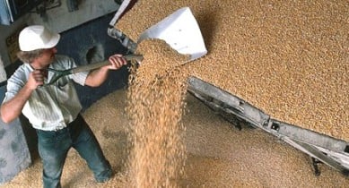 «Укрзализныця» увеличила ежесуточную погрузку зерновозов почти на 50%.