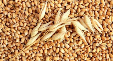 Европейская Бизнес Ассоциация призывает ввести бессрочную сертификацию зерна.